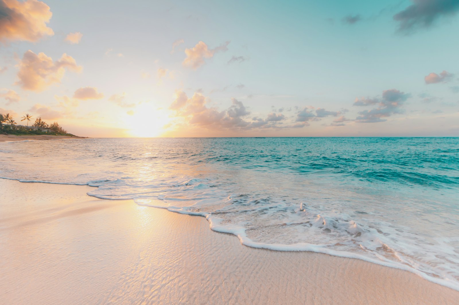 Discover Where to Stay