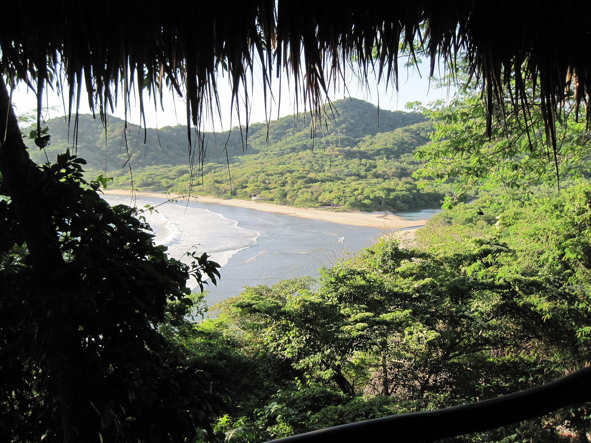 Working Remotely From the Tola Coast